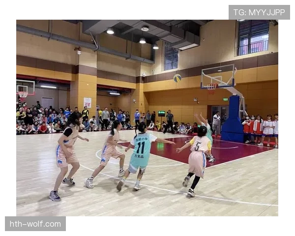 新手看过来:篮球比赛中球出界如何判定? 新手看过来:篮球比赛中球出界如何判定?